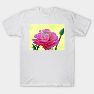 Pink Buttercup T-Shirt